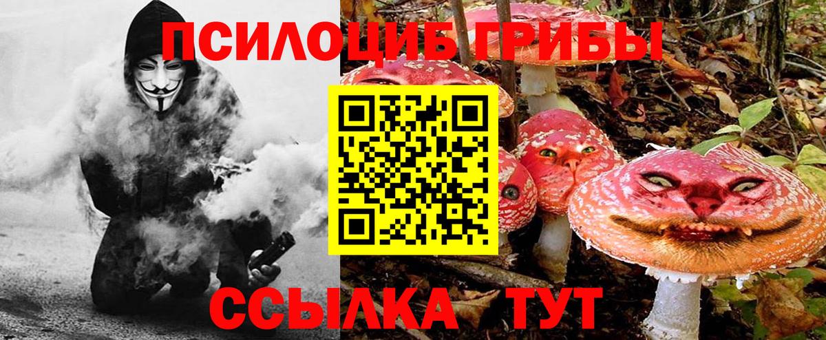 Кинешма  Псилоцибиновые грибы GOLDEN TEACHER  Псилоцибиновые грибы мицелий  Вход с VPN 