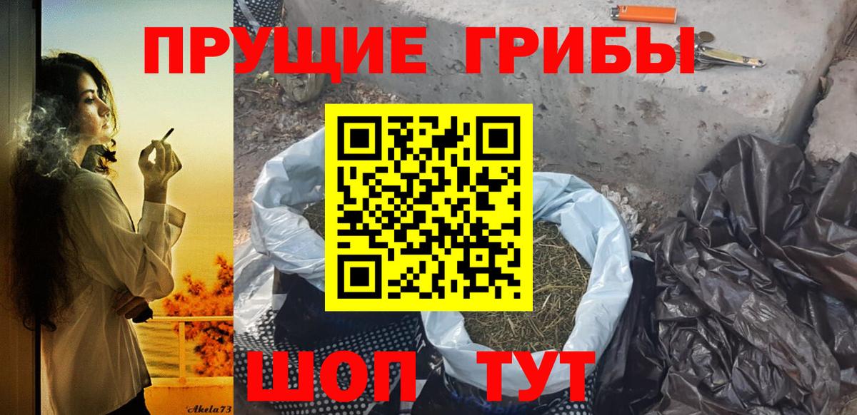 Галлюциногенные грибы Psilocybine cubensis Кинешма